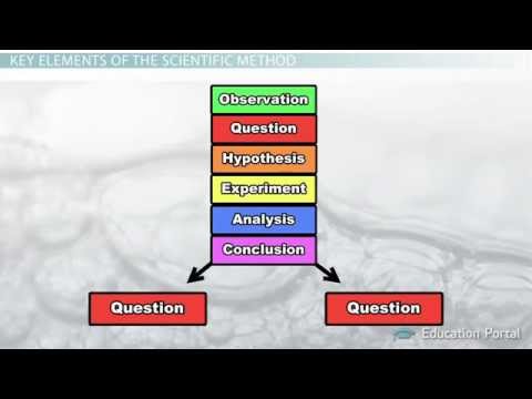 The Scientific Method: Steps, Terms and Examples