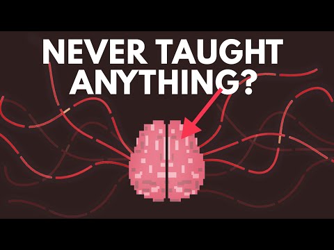 What If You Were Never Taught Anything?