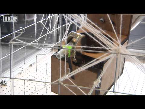 Robotic spider weaves web at MIT Media Lab
