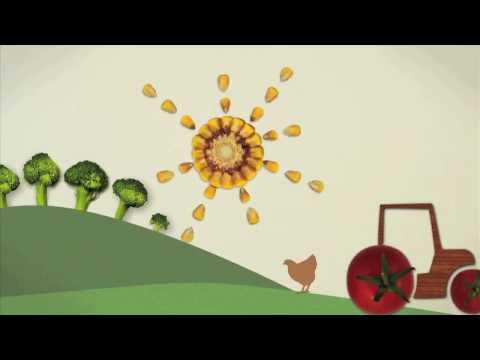 Winner: RSA / Nominet Trust Short Film Competition: Food Rules for Healthy People and Planet