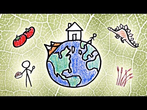 MinuteEarth: The Story of Our Planet