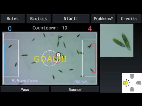 Stanford bioengineer creates an interactive soccer game with microorganisms