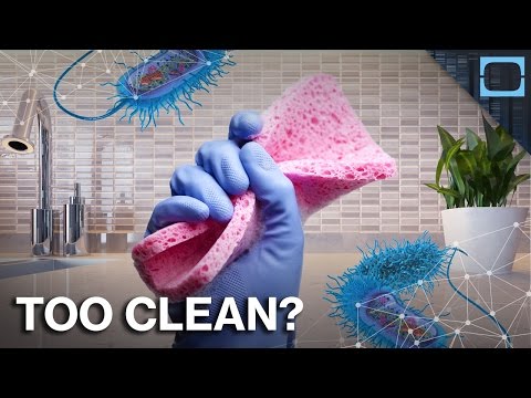Is Being Too Clean Making Us Sick?