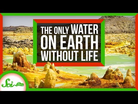 The Only Water on Earth Without Life