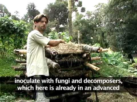 Ecovillages and Permaculture: a reference model for sustainable consumption?