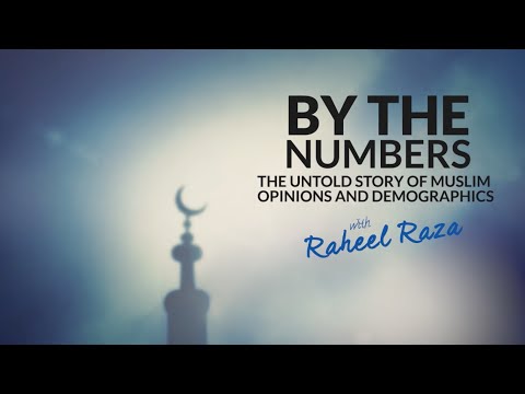 By The Numbers - The Untold Story of Muslim Opinions &amp; Demographics
