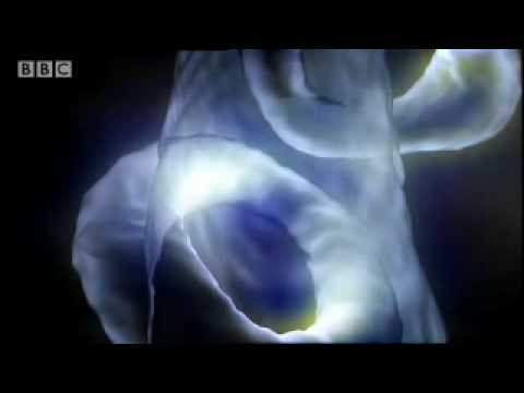 Who lives in the eleventh dimension? - Parallel Universes - BBC science