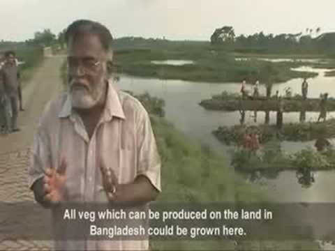 Floating crop gardens in Bangladesh