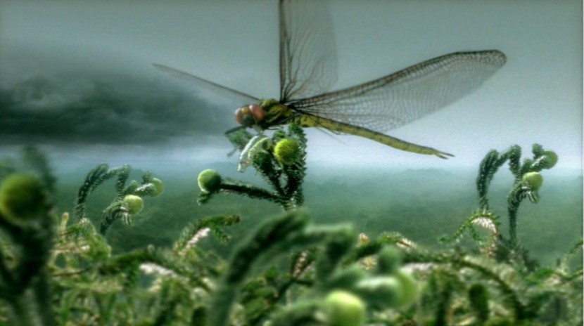 Mossen en libelles bereikten in het Carboon enorme groottes.