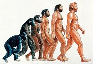 Van dit traditionele plaatje van de menselijke evolutie klopt maar weinig, weten we nu. 