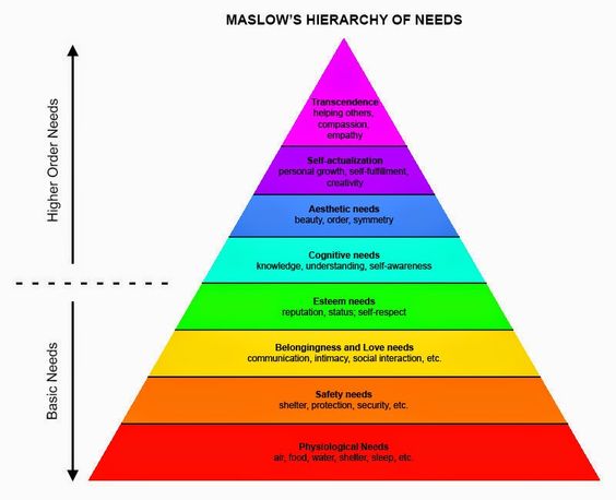 tekort plakboek Moreel onderwijs Piramide van Maslow heeft extra zesde niveau' - Visionair