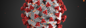Coronavirussen hebben bindingsstekels. De bindingsstekels van covid-19 (rood in deze afbeelding) zijn buitengewoon goed in het binden aan receptoren van menselijke cellen. Bron: overheid Usa (state.gov)