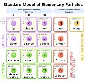 Alle elementaire deeltjes volgens het Standaardmodel. Maakt het leptoquark het compleet? Bron: wikimedia Commons