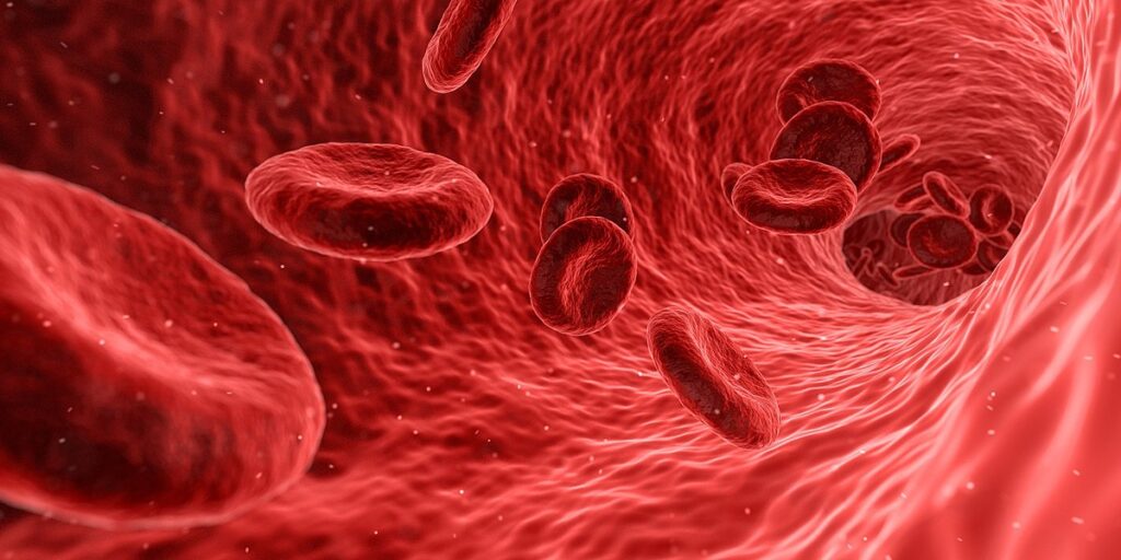 Verdunning van bloedplasma draait veroudering terug, wijst onderzoek uit.